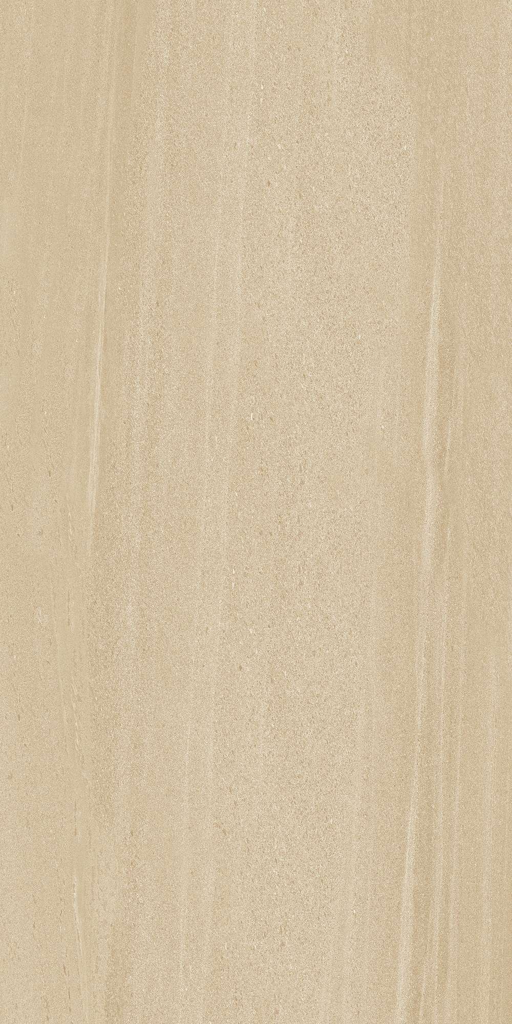 cl362-copy-2