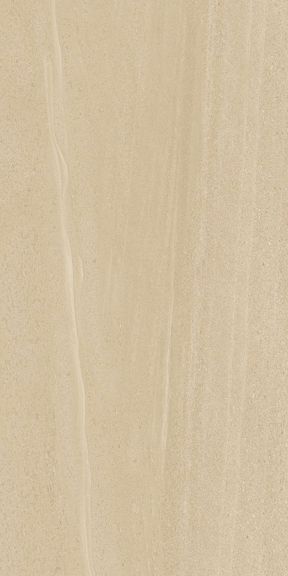 cl362-copy-3