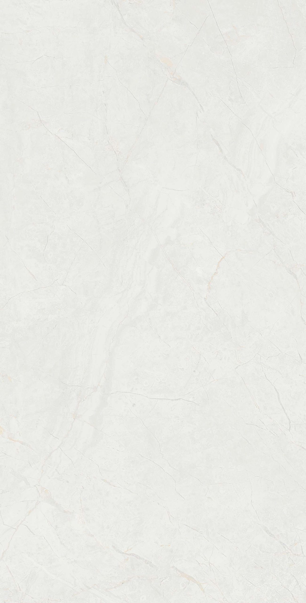 cl363-copy-4
