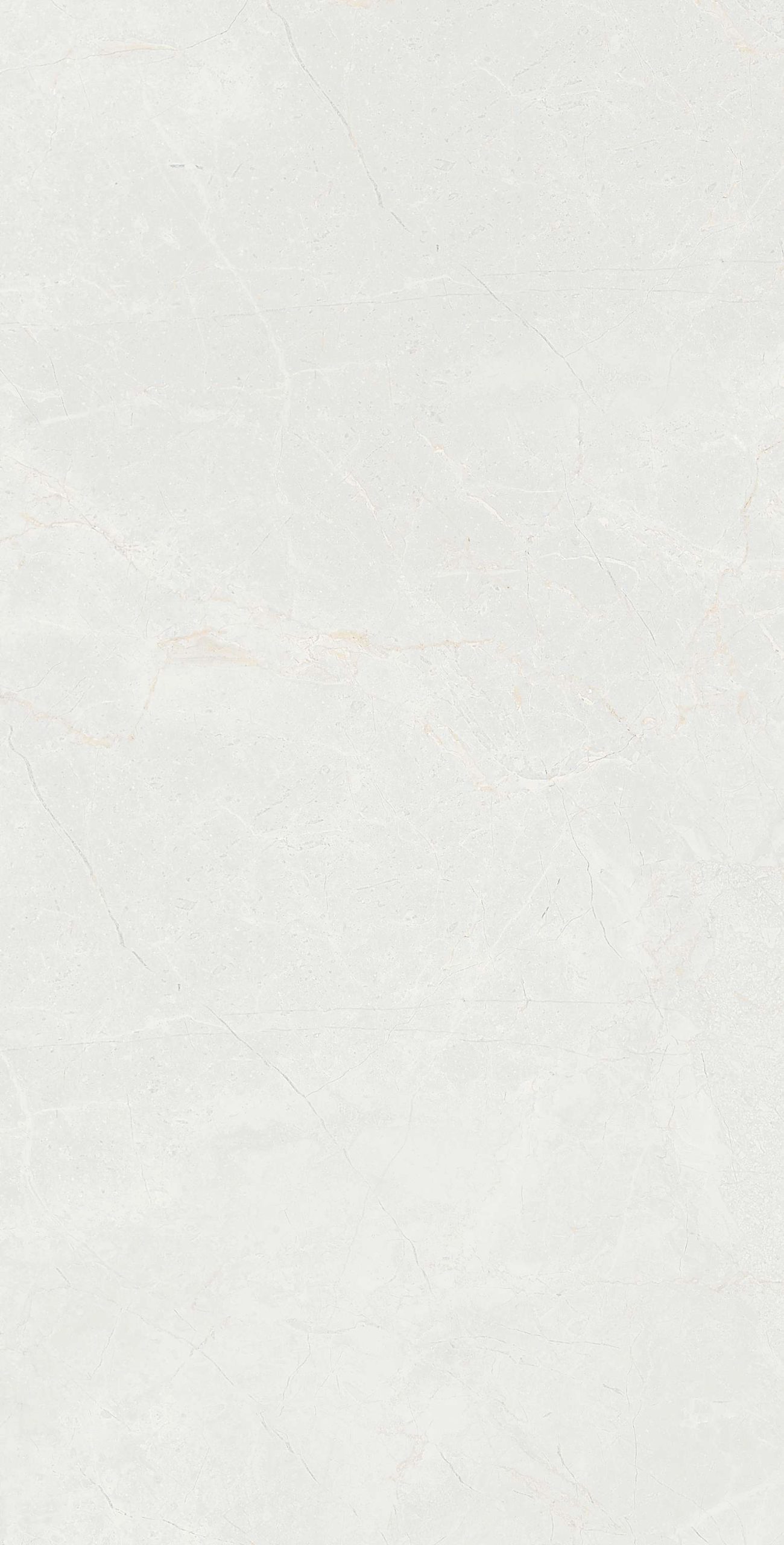 cl363-copy-6