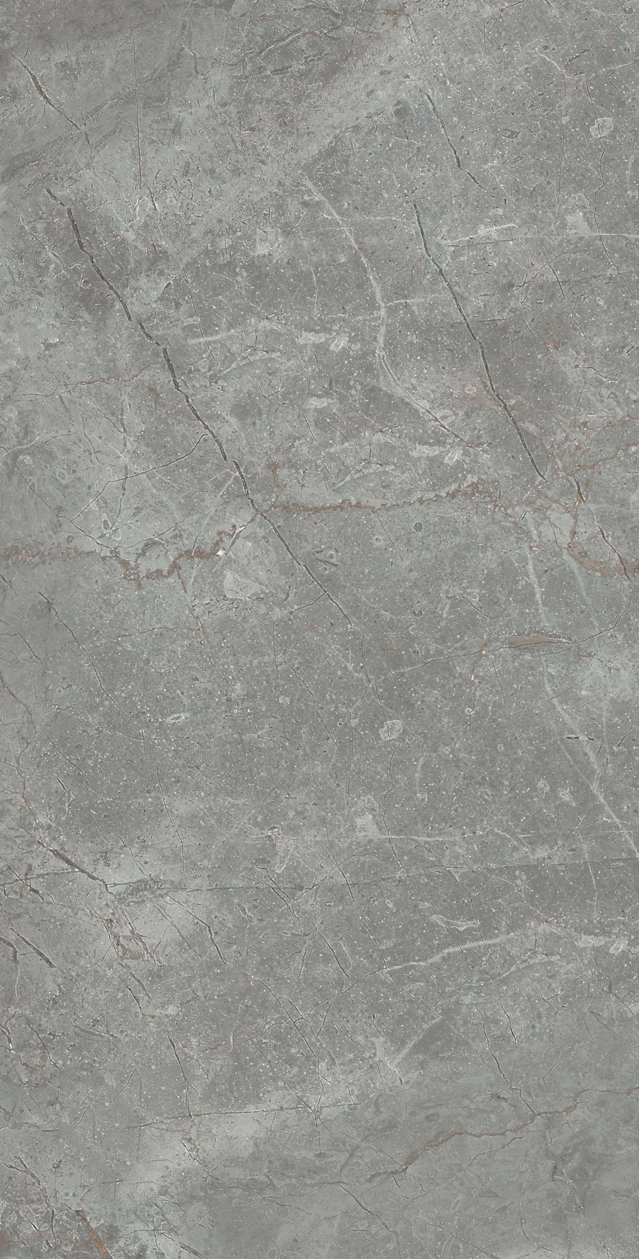 cl364-copy-2