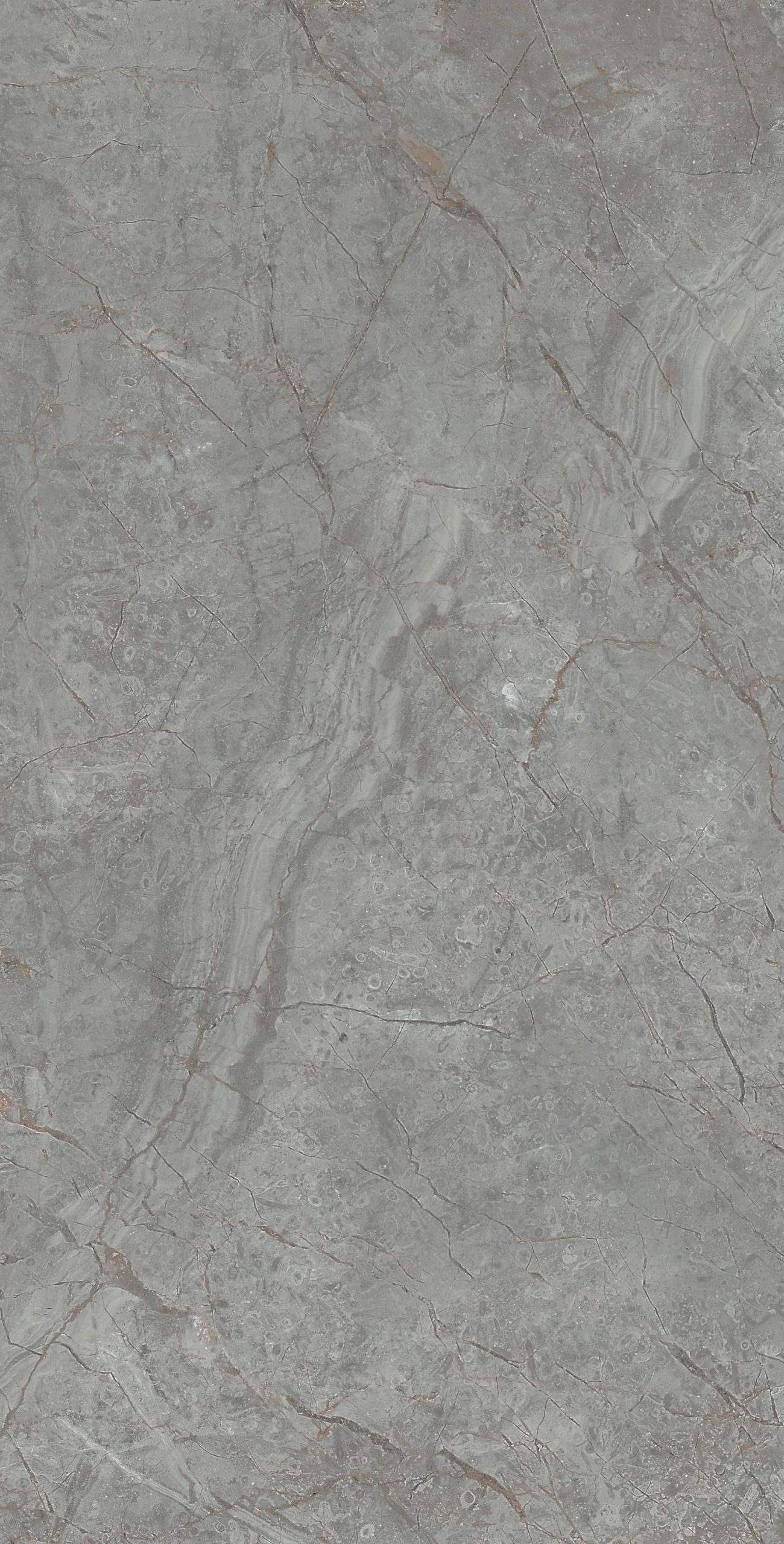 cl364-copy-3