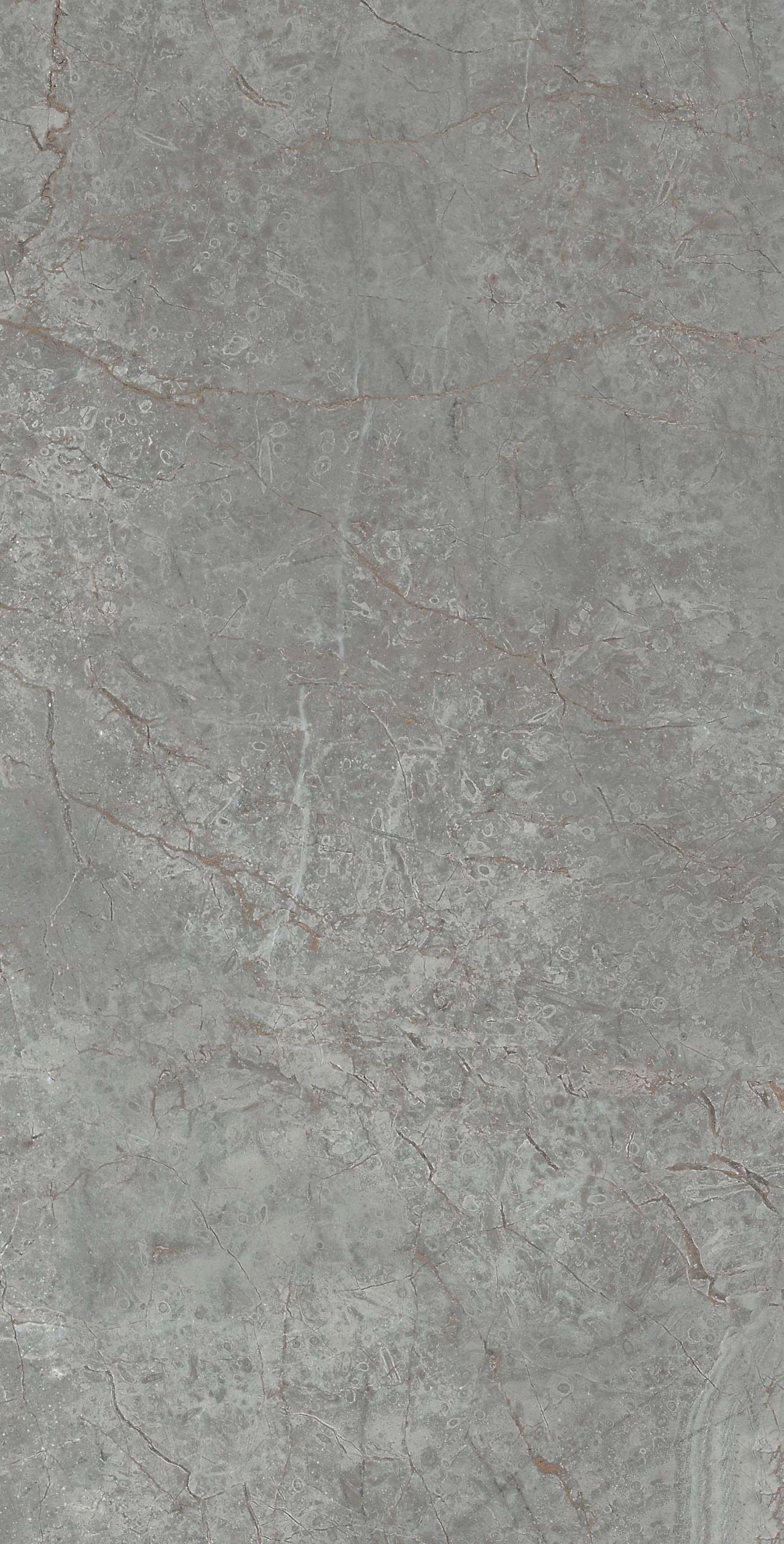 cl364-copy-4