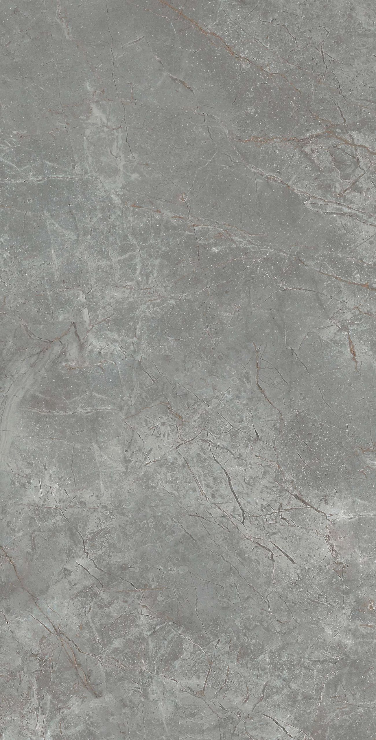 cl364-copy-5
