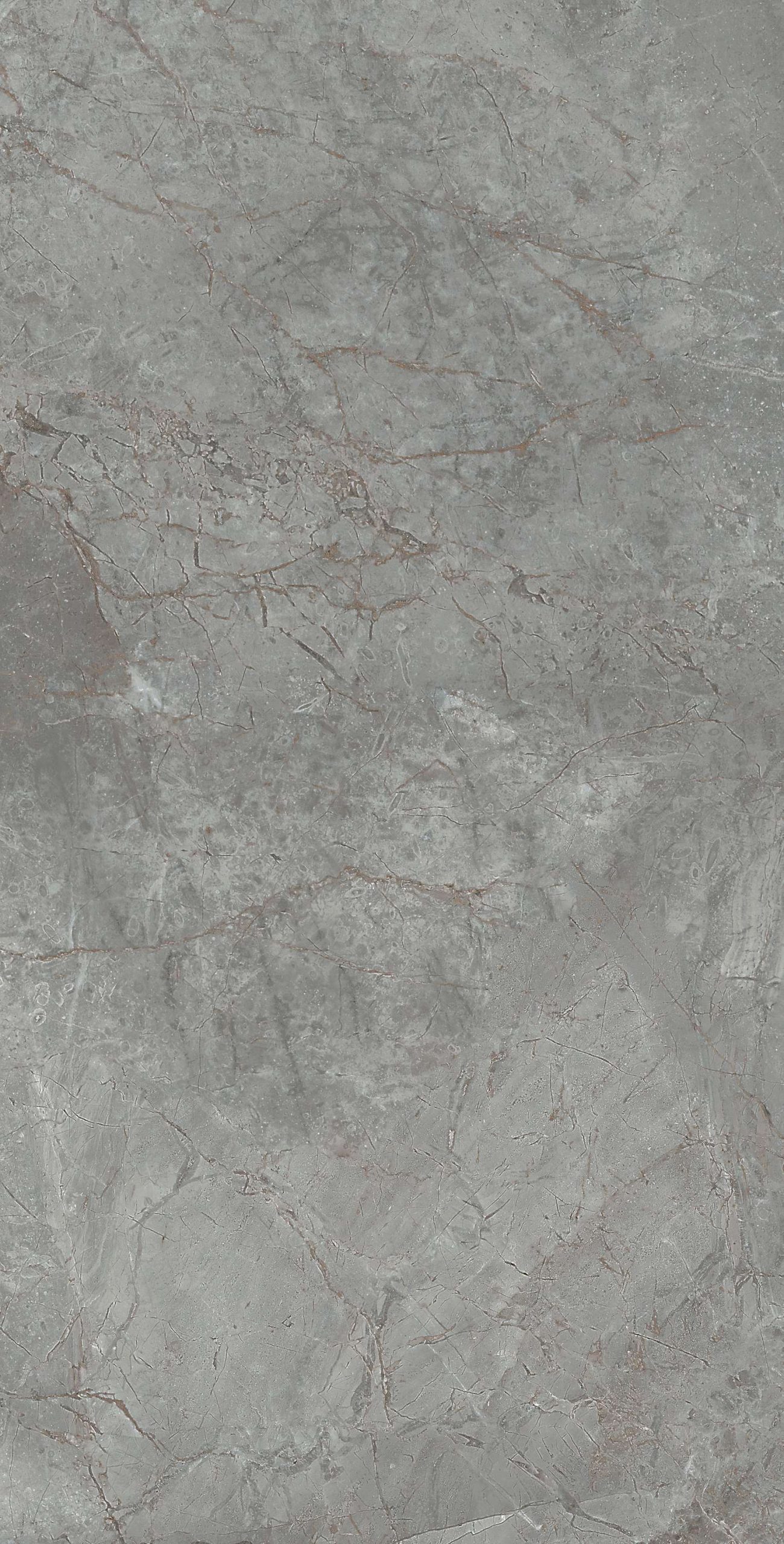 cl364-copy-6