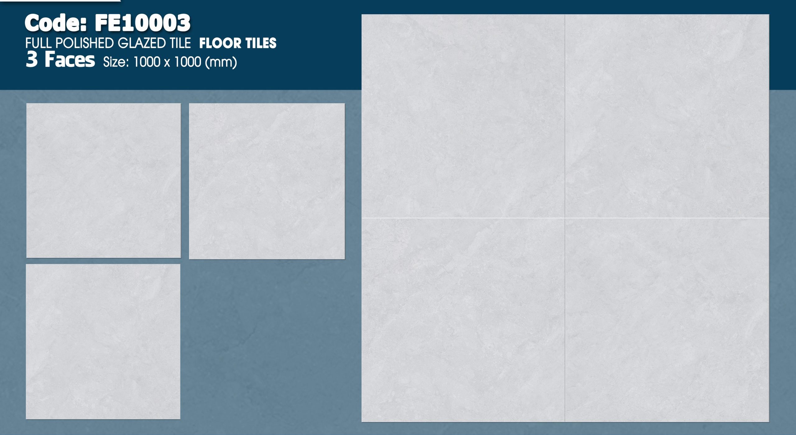 FE10003 layout
